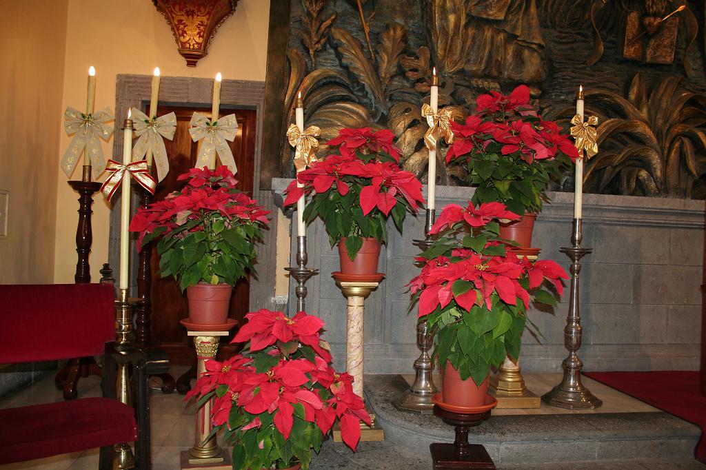 IMG_4366.JPG