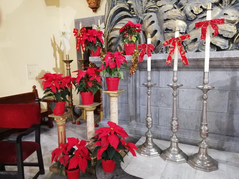 07-IMG_20201230_160549.jpg