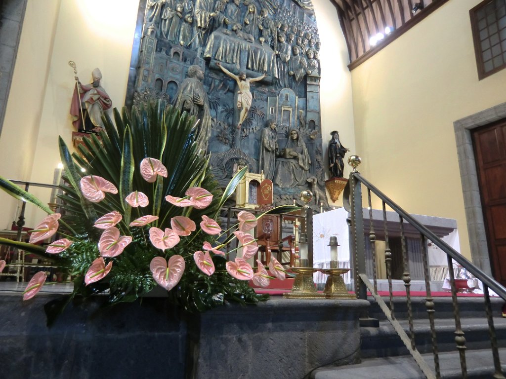 CIMG0971.JPG