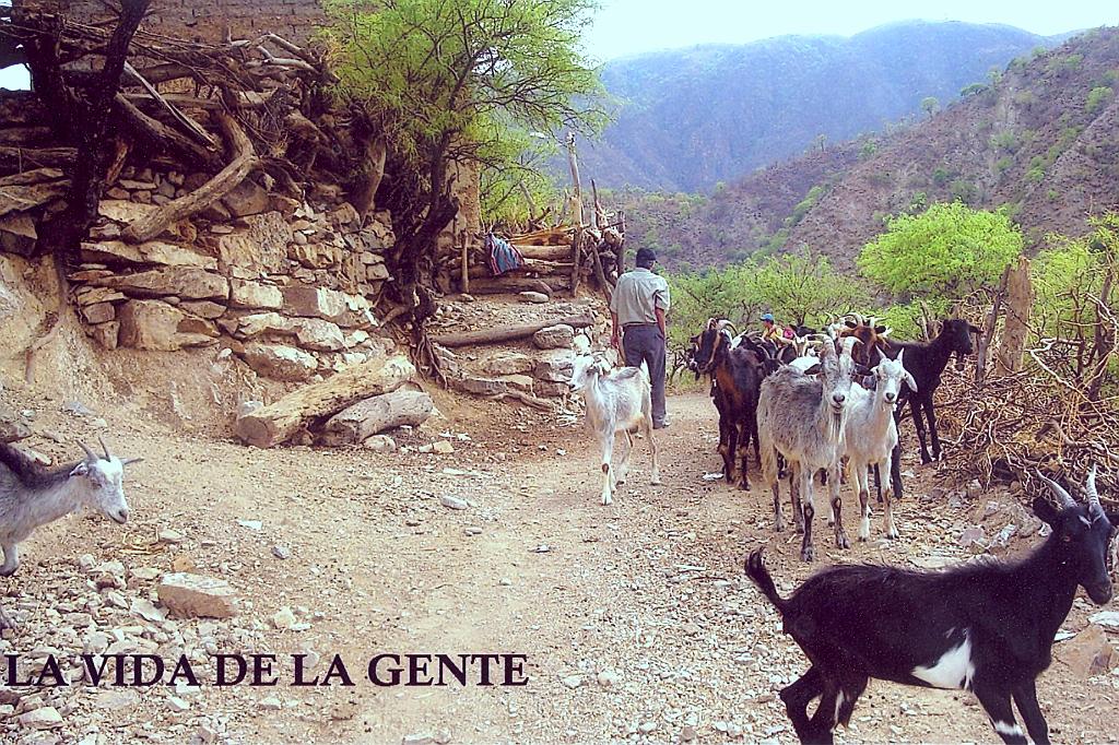 sucre0019.jpg - La vida de la gente de El Chaco